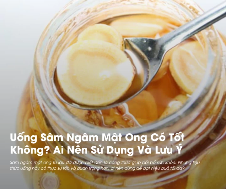 Uống Sâm Ngâm Mật Ong Có Tốt Không? Ai Nên Sử Dụng Và Lưu Ý Khi Dùng