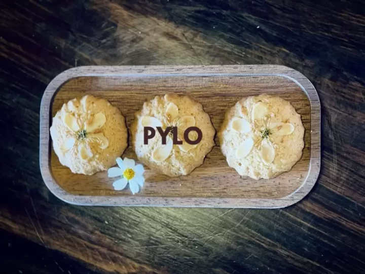 Bánh Sâm Hạnh Nhân Pylo - Sự Sáng Tạo Và Tình Yêu Thương!