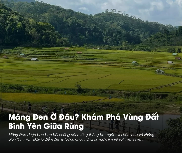 Măng Đen Ở Đâu? Khám Phá Vùng Đất Bình Yên Giữa Rừng