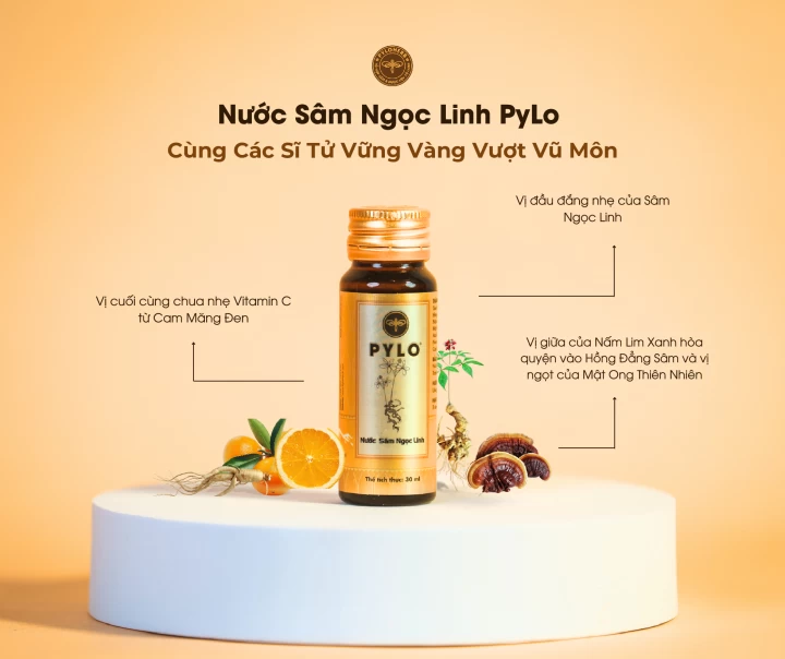 Cùng Các Sĩ Tử Vững Vàng Vượt Vũ Môn Cùng Nước Sâm Ngọc Linh PyLo