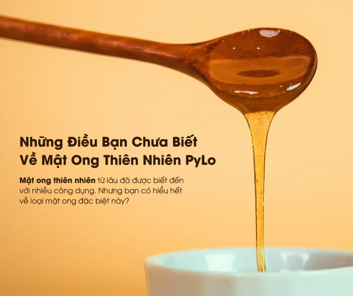 Những Điều Bạn Chưa Biết Về Mật Ong Thiên Nhiên PyLo