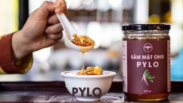 Sâm Mật Ong PyLo - Quá Trình Dày Công Nghiên Cứu