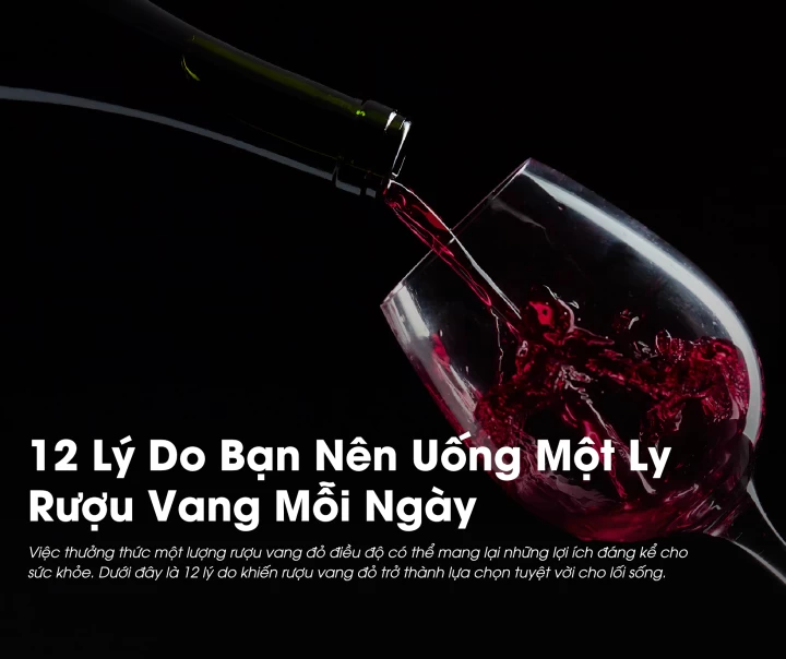 12 Lý Do Bạn Nên Uống Một Ly Rượu Vang Mỗi Ngày 