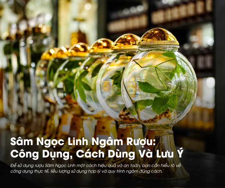 Sâm Ngọc Linh Ngâm Rượu: Công Dụng, Cách Dùng và Các Lưu Ý