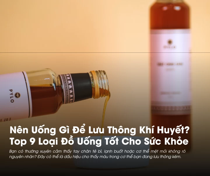 Nên Uống Gì Để Lưu Thông Khí Huyết? Top 9 Loại Thức Uống Tốt Cho Sức Khỏe 