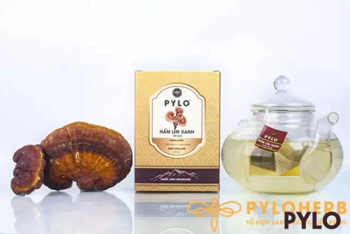 Các Loại Trà Dược Liệu Tốt Cho Sức Khỏe Mà Bạn Nên Biết