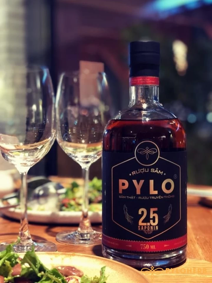 Rượu Sâm Pylo Uống Hằng Ngày Có Được Không?