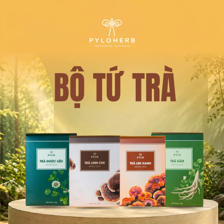 Bộ tứ trà PyLo: Khám phá bốn hương vị từ xứ lạnh Măng Đen