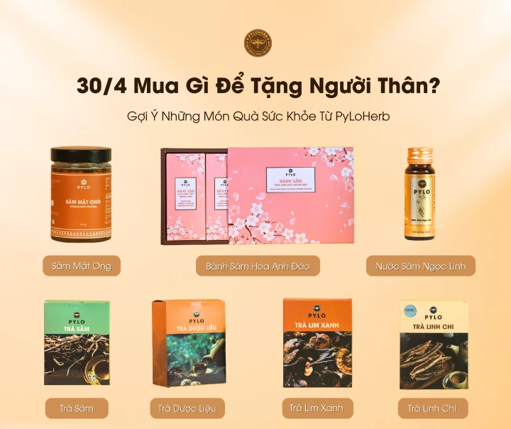 30/4 Mua Gì Để Tặng Người Thân? Gợi Ý Những Món Quà Sức Khỏe Từ PyLoHerb