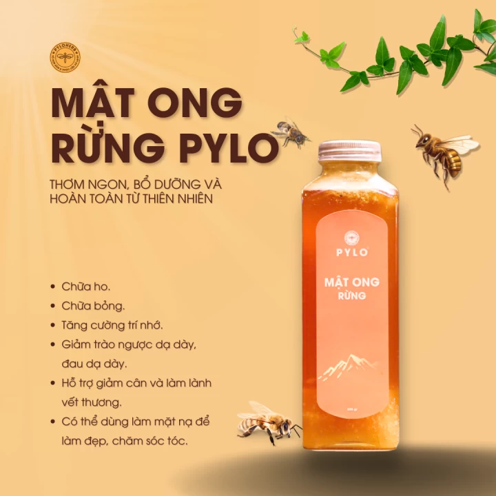 6 Công Dụng Nổi Bật Từ Mật Ong Rừng PyLo