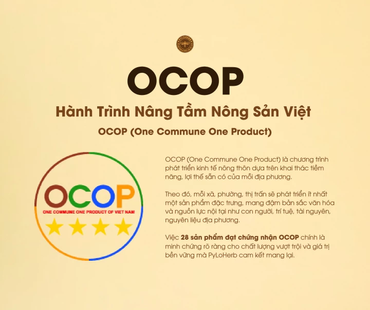 OCOP: Hành Trình Nâng Tầm Nông Sản Việt 