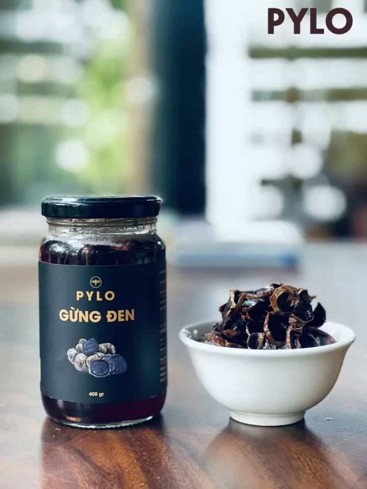 Gừng Đen PyLo - Vị Thuốc Quý Của Dân Tộc