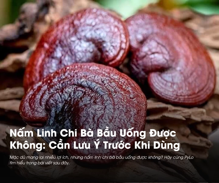 Nấm Linh Chi Bà Bầu Uống Được Không: Cần Lưu Ý Trước Khi Dùng 