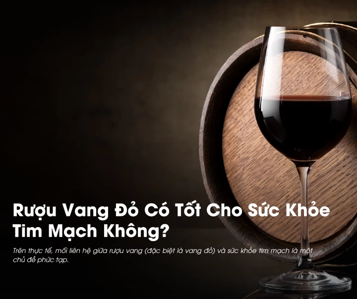 [Góc Tư Vấn] Rượu Vang Đỏ Có Tốt Cho Sức Khỏe Tim Mạch Không? 