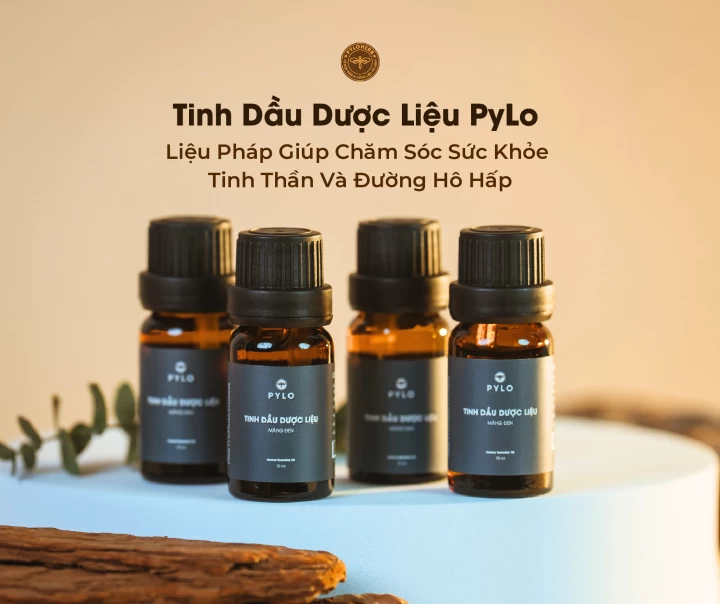 Tinh Dầu Dược Liệu PyLo – Liệu Pháp Giúp Chăm Sóc Sức Khỏe Đường Hô Hấp