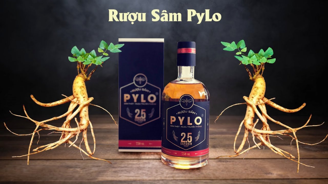 [PyLoHerb] - Rượu Sâm PyLo - Rượu Ngon, Sâm Quý Đúng Điệu!