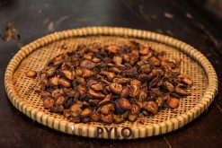 Cây táo mèo rừng thường phát triển tốt ở vùng núi cao 2000 - 3000m