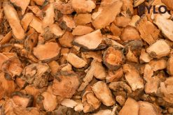 Thổ Phục Linh Rừng PyLo