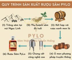 Rượu PyLo 25