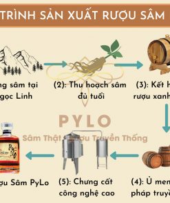 Rượu PyLo 25