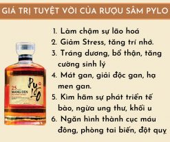 Rượu PyLo 25