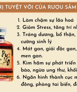 Rượu PyLo 25