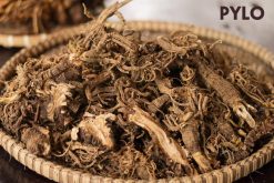 Sâm đương quy có nhiều dược tính quý