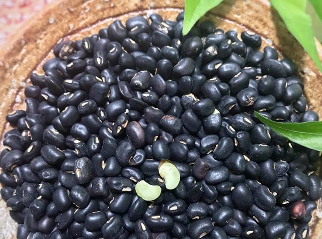 Đậu Đen xanh lòng, căng mẩy, vỏ đen đều chính là những hạt Đậu Đen tốt nhất khi kết hợp với Hà Thủ Ô