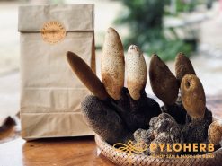 Bình rượu dược liệu sức khỏe đại ngàn PYLO giúp hỗ trợ ngủ ngon