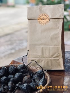 dược liệu sức khỏe đại ngàn pylo