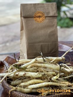 dược liệu sức khỏe đại ngàn pylo