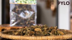 Khổ Qua Rừng Măng Đen