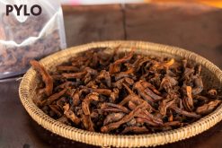 Cốt Toái Bổ Rừng