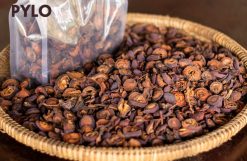 Táo Mèo Rừng có thể sử dụng cho nhiều đối tượng