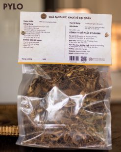 Sâm đương quy - dược thảo quý từ rừng