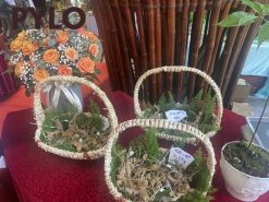 Sâm tốt cho sinh lý nam