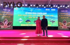 Sản phẩm sâm của PyLo