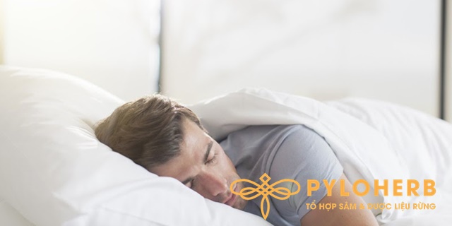 Bình rượu dược liệu sức khỏe đại ngàn PYLO giúp hỗ trợ ngủ ngon