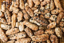 Hạt chuối cô đơn to hơn hạt chuối hột bình thường