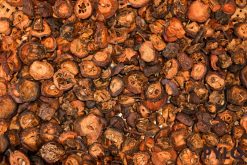 Táo mèo rừng có tính chua, hơi ấm