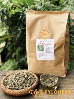 Cà Gai Leo Rừng PyLo