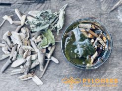 Cây an xoa rừng - dược liệu chữa gan số 1 hiện nay