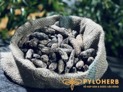 Chuối rừng sấy khô