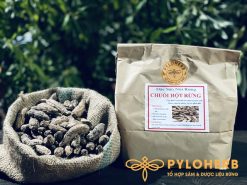Chuối rừng sấy khô của Dược Liệu Rừng PyLoHerb