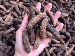 Chuối hột rừng khô nấu nước uống tốt cho sức khỏe