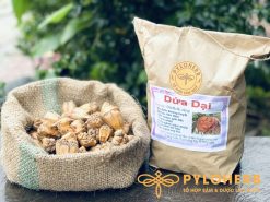 Dứa rừng có dược tính rất tốt cho sức khỏe