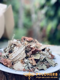 Alternative view of Dược Liệu Giảm Cân PyLo