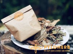 Dược Liệu Giảm Cân PyLo
