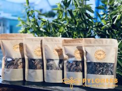 duoc lieu xuong khop gout