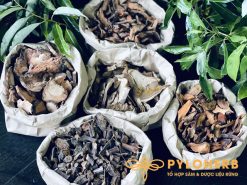 Alternative view of Dược Liệu Xương Khớp Gout